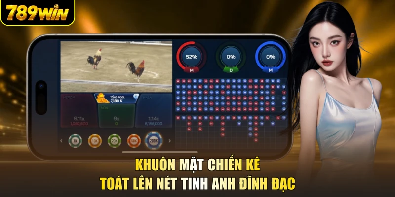 Khuôn mặt chiến kê toát lên nét tinh anh đĩnh đạc