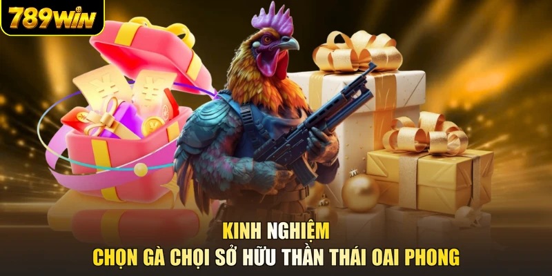 Kinh nghiệm chọn gà chọi sở hữu thần thái oai phong