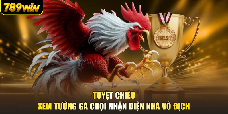 Tuyệt chiêu xem tướng gà chọi nhận diện nhà vô địch